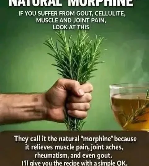 “Rosemary Anti-Inflammatory Herbal Tea”